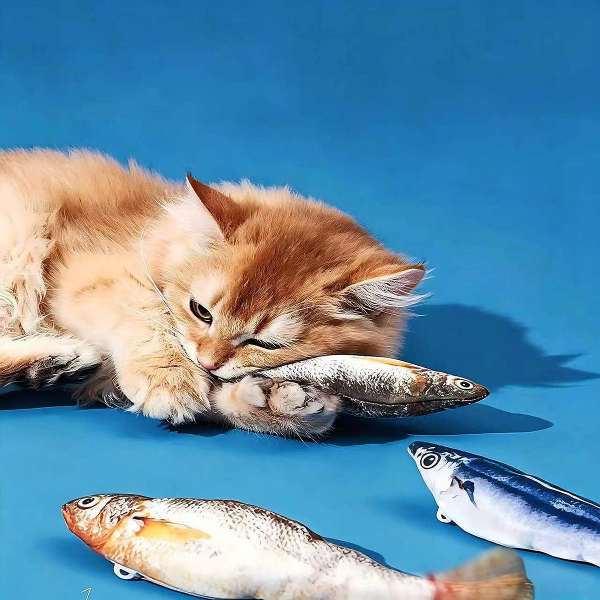 Cat Toy Fish