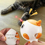 Cat Toy Bird
